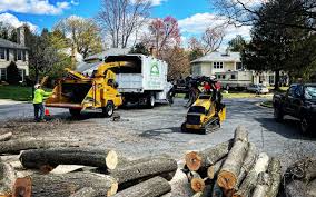 Best Arborist Consultation Services  in Lake Holiday, IL